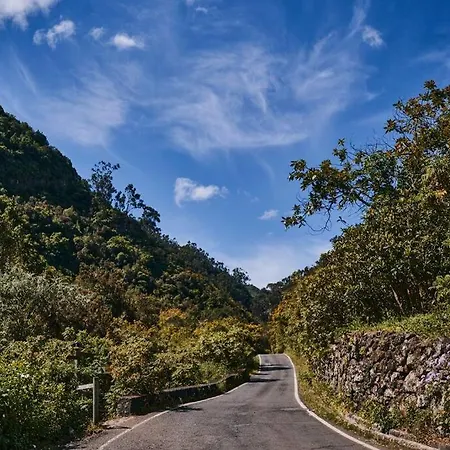 La Buhardilla * Moya (Gran Canaria)
