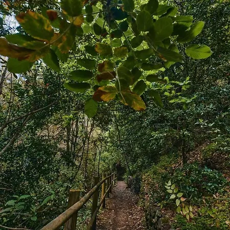 La Buhardilla Appartamento